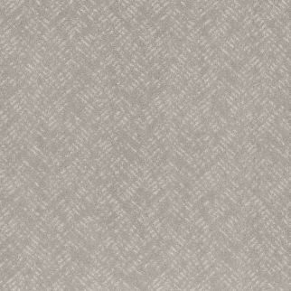 Shaw Floors Favoured Path Rock Crystal SHAW