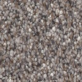 Shaw Floors Truspirit I Stainless SHAW