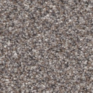 Shaw Floors Truspirit II Stainless SHAW