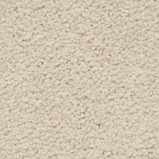 Horizon Carpet Gentle Approach Romano Mohawk