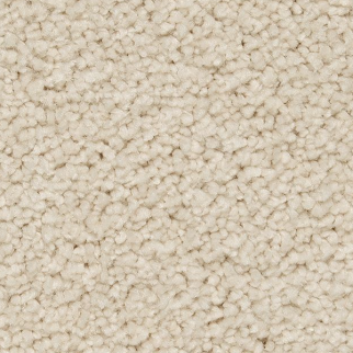 Horizon Carpet Pleasant Touch Romano Mohawk