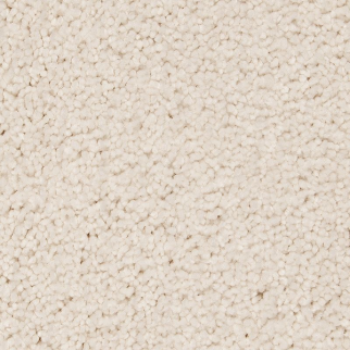 Horizon Carpet Gentle Approach Dovetail Mohawk