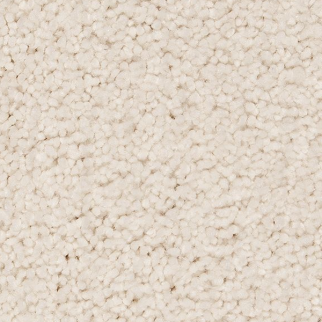 Horizon Carpet Pleasant Touch Dovetail Mohawk