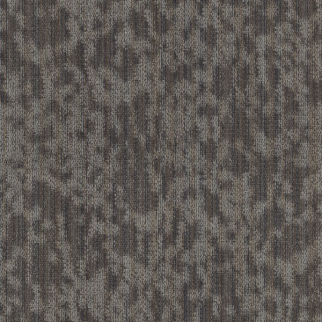 Philadelphia Commercial Folium Dwelling Shaw