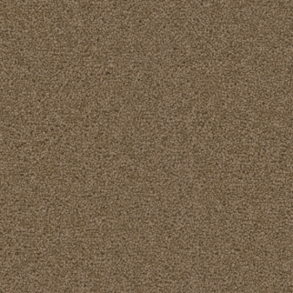 Dreamweaver Carpet Broadcast Plus Honey Beige DREAMWEAVER