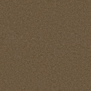 Dreamweaver Carpet First Step Sable DREAMWEAVER