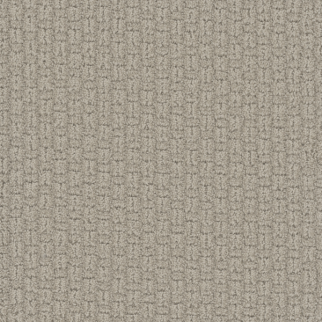Dreamweaver Carpet Grand Isle Blizzard Blast DREAMWEAVER