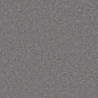 Shaw Floors Awaken Spirit I 12' Magnetic SHAW