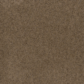 Dreamweaver Carpet Toast Of The Town Sandalwood DREAMWEAVER