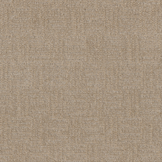 Dreamweaver Carpet Classic Elements Milk and Honey DREAMWEAVER