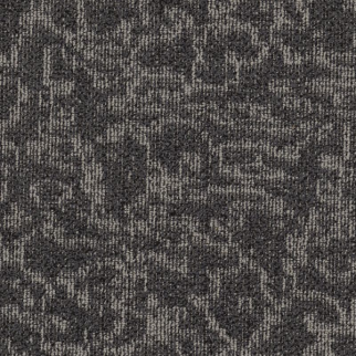 Philadelphia Commercial Mindful Movement Lava Shaw