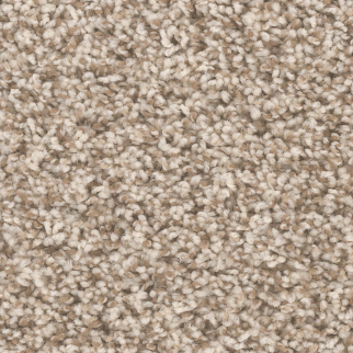 Dreamweaver Carpet West Brow Agate DREAMWEAVER