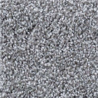 Shaw Floors What's Up Battleship SHAW