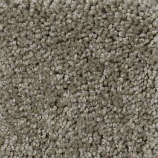 Shaw Floors Origins Pewter SHAW