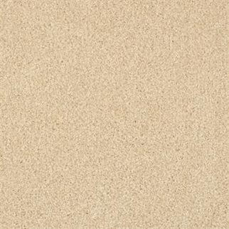 Masland Carpets Key West Pale Almond Masland