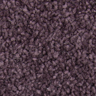 Horizon Carpet Exceptional Choice Passion Mohawk