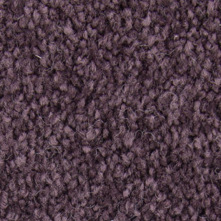 Mohawk Carpet Noteworthy Selection Passion Mohawk