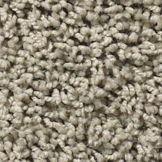 Tuftex Del Morro Serene SHAW