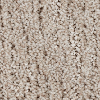 Horizon Carpet Flawless Reputation Library Oak Mohawk