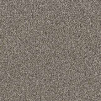 Dreamweaver Carpet Timberline I Cedar Key DREAMWEAVER