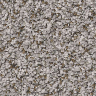 Shaw Floors Feelin' Alright Exposed Beam SHAW