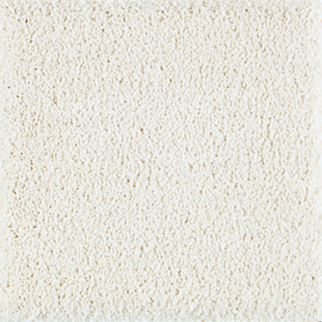 Horizon Carpet Exquisite Attraction High Style Mohawk