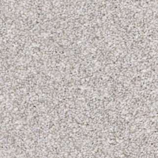 Shaw Floors Make It Mine II Arctic Shadow SHAW