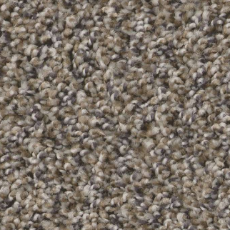 Shaw Floors Always Right II Jamestown SHAW