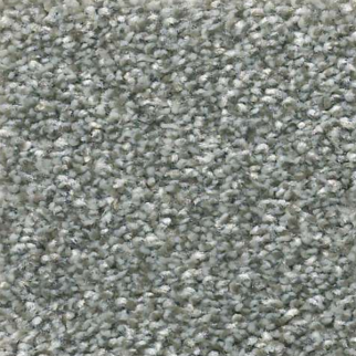 Shaw Floors Attainable Artic Shadow SHAW