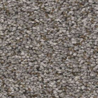 Shaw Floors Feelin' Alright Washed Suede SHAW