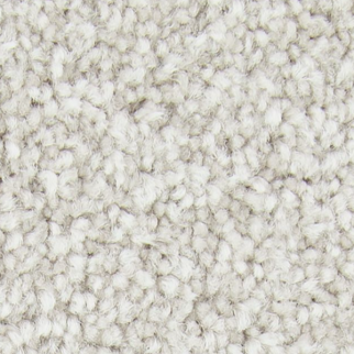 Mohawk Carpet Noteworthy Selection Ancestral Mohawk