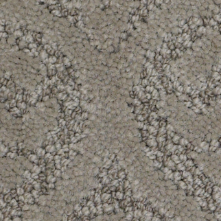 Tuftex Modern Amenities Birch Bark SHAW