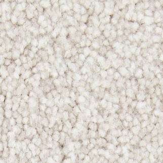 Mohawk Carpet Noteworthy Selection Steller Mohawk