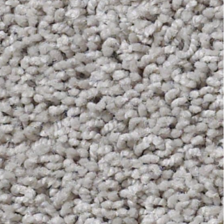 Tuftex Del Morro Valley Mist SHAW