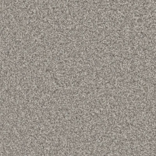 Shaw Floors High Ranking TNL Fresh Air SHAW