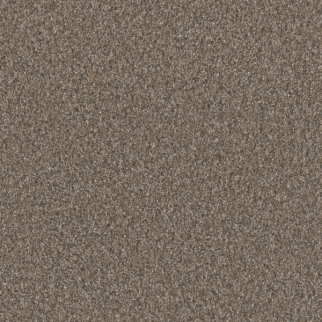 Dreamweaver Carpet Timberline II Lakehouse DREAMWEAVER