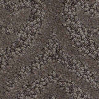 Tuftex Modern Amenities Chinchilla SHAW