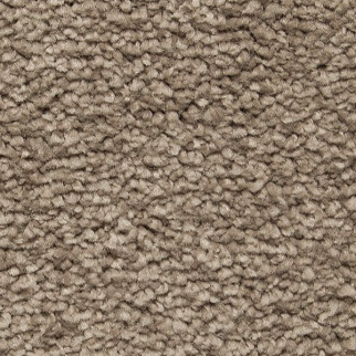 Horizon Carpet Pleasant Touch Gondola Mohawk