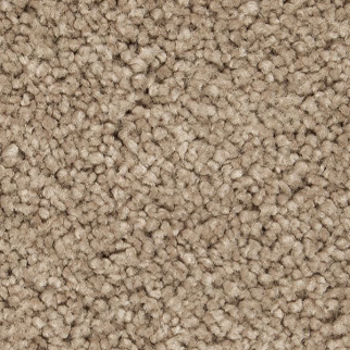 Horizon Carpet Pleasant Touch Tudor Brown Mohawk