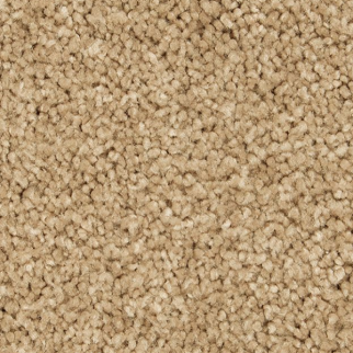 Horizon Carpet Pleasant Touch Canterbury Mohawk