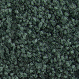 Horizon Carpet Exceptional Choice Eden Mohawk