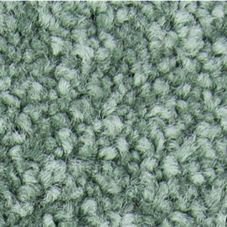 Horizon Carpet Exceptional Choice Aloe Mohawk