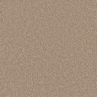 Dreamweaver Carpet Cape Cod Cashew DREAMWEAVER