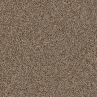 Dreamweaver Carpet Broadcast Plus Doeskin DREAMWEAVER