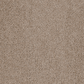 Dreamweaver Carpet Cedar Creek Doeskin DREAMWEAVER