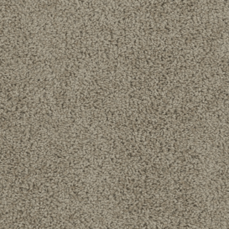 Dreamweaver Carpet Tracker Doeskin DREAMWEAVER