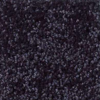 Shaw Floors Kid Crossing Pirate Patch SHAW