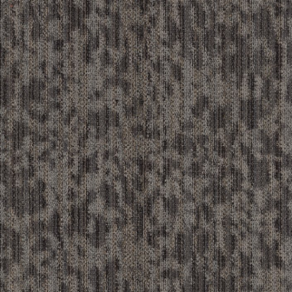 Philadelphia Commercial Folium Refuge Shaw