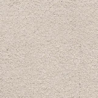 Masland Carpets Ravishing Beguiling Masland