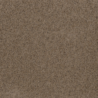 Dreamweaver Carpet Toast Of The Town Vallum DREAMWEAVER